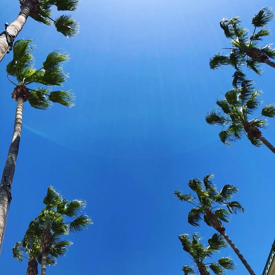 HELLO FROM LOS ANGELES