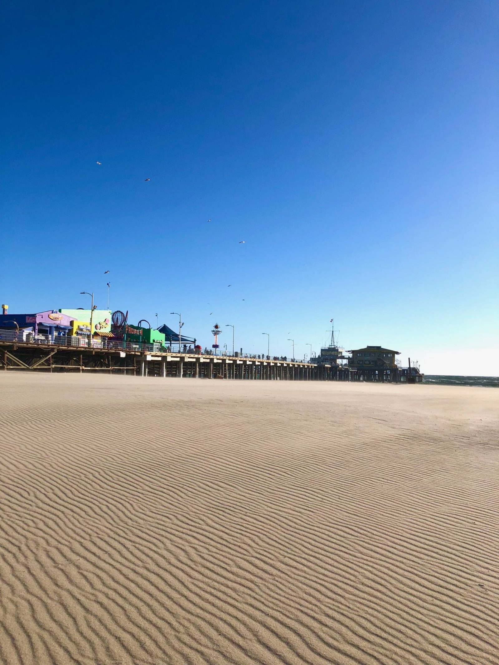 VENICE BEACH & SANTA MONICA LOS ANGELES